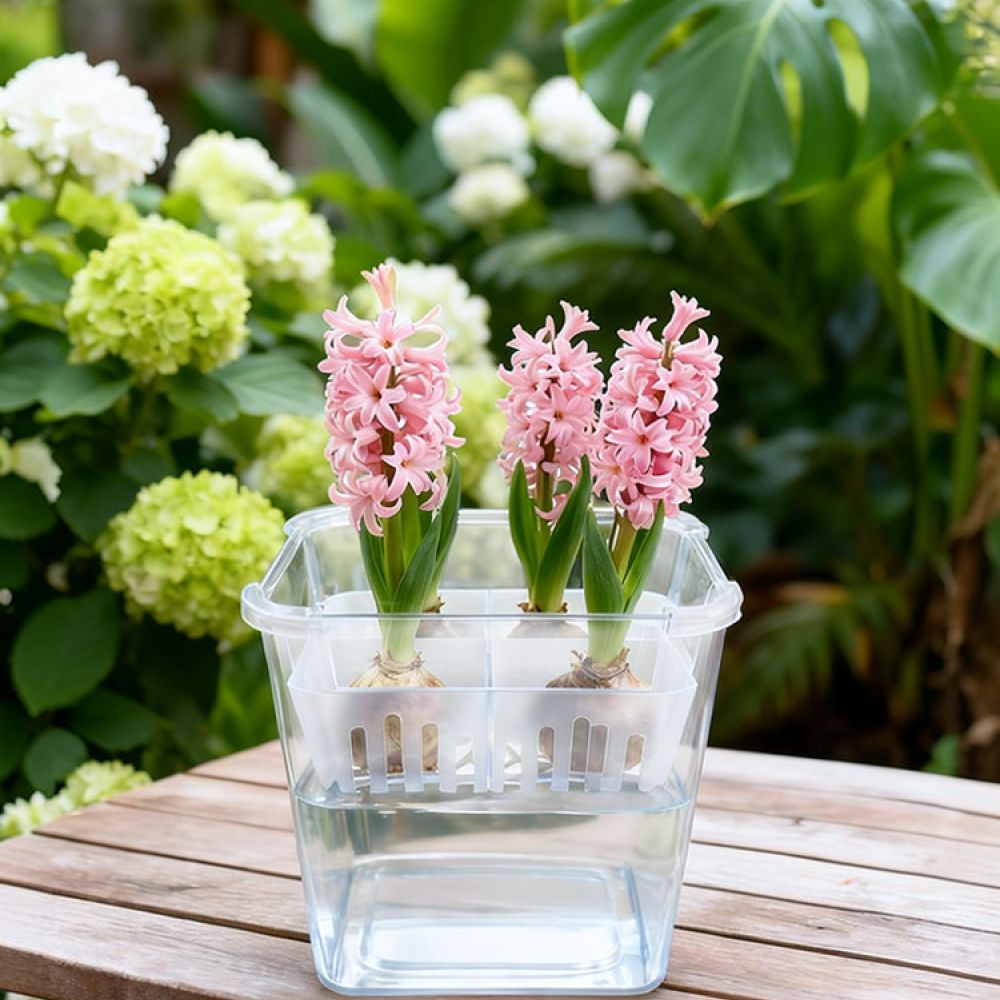 Vase Decor - Wazon do uprawy tulipanów i lilii