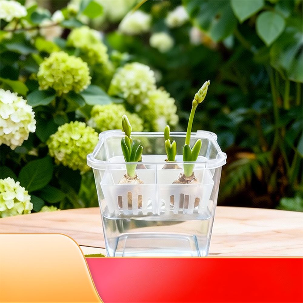 Wazon do uprawy tulipanów i li – Vase Decor recenzja i cena